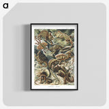 1-29_Ernst-Haeckel_blk-crop