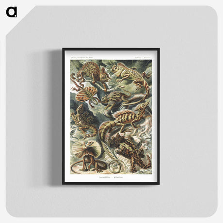 1-29_Ernst-Haeckel_blk-crop