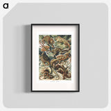 Lacertilia–Eidechlen from Kunstformen der Natur - エルンスト ヘッケル Poster.