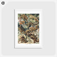 アートポストカード-Lacertilia–Eidechlen from Kunstformen der Natur - エルンスト ヘッケル Postcard.