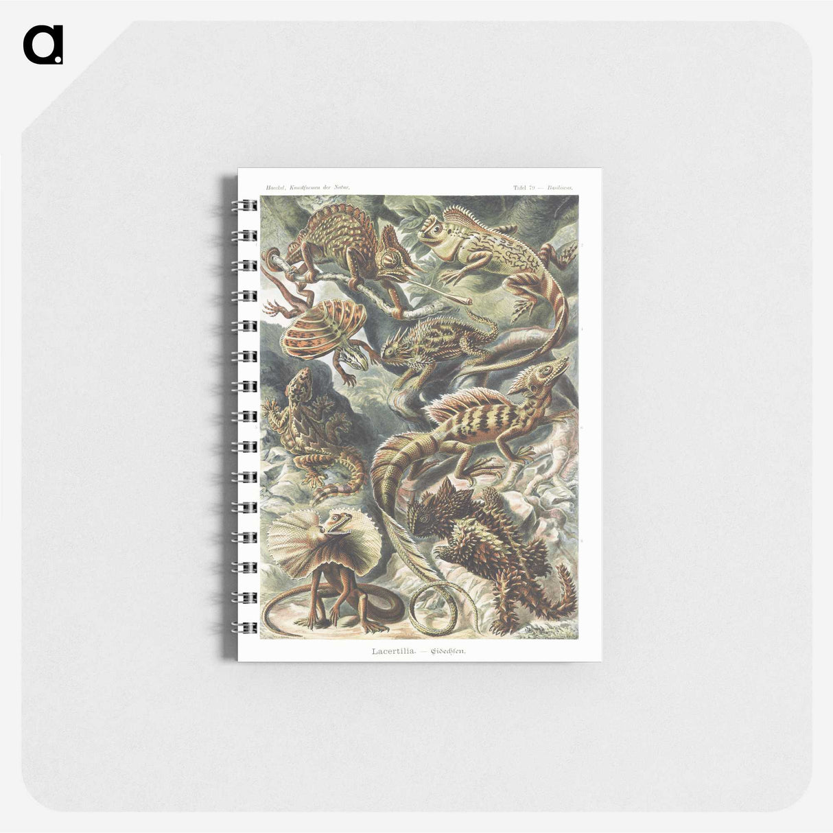 1-29_Ernst-Haeckel_memo