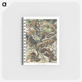 1-29_Ernst-Haeckel_memo