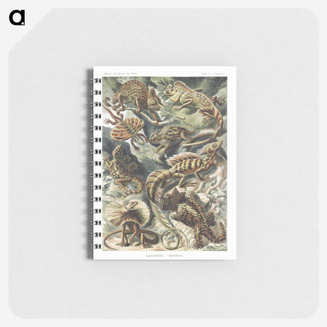 1-29_Ernst-Haeckel_memo