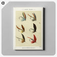 1-29_Favorite-Flies-and-Their-History_canvas