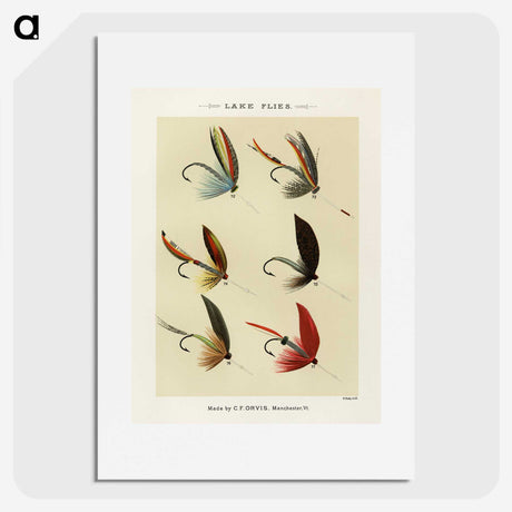 1-29_Favorite-Flies-and-Their-History_picture