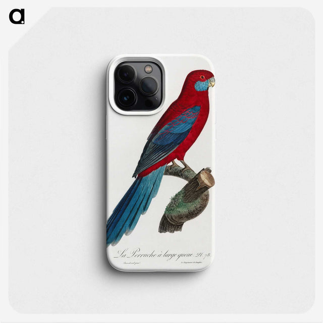 1-29_Francois-Levaillant_phone