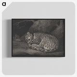 1-29_George-Stubbs_blk-crop