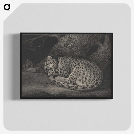 1-29_George-Stubbs_blk-crop