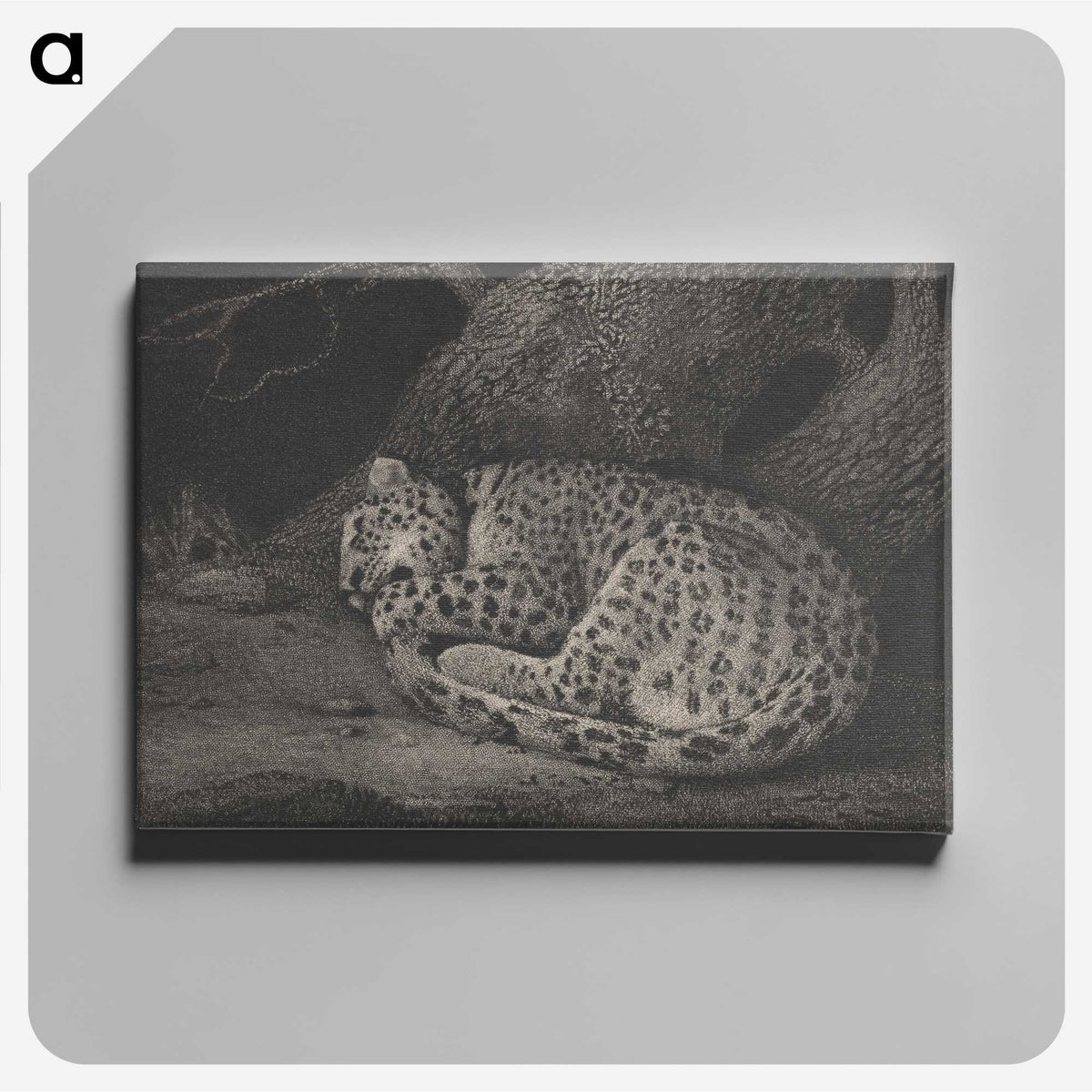 1-29_George-Stubbs_canvas