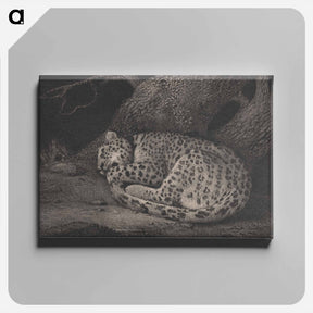 アートパネル-A Sleeping Leopard
 - ジョージ スタッブス Canvas.