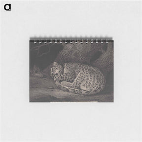 アートメモ帳-A Sleeping Leopard
 - ジョージ スタッブス Memo.