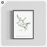 1-29_Histoire-des-Plantes-Grasses_blk-crop
