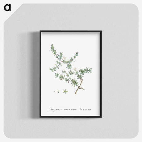 1-29_Histoire-des-Plantes-Grasses_blk-crop