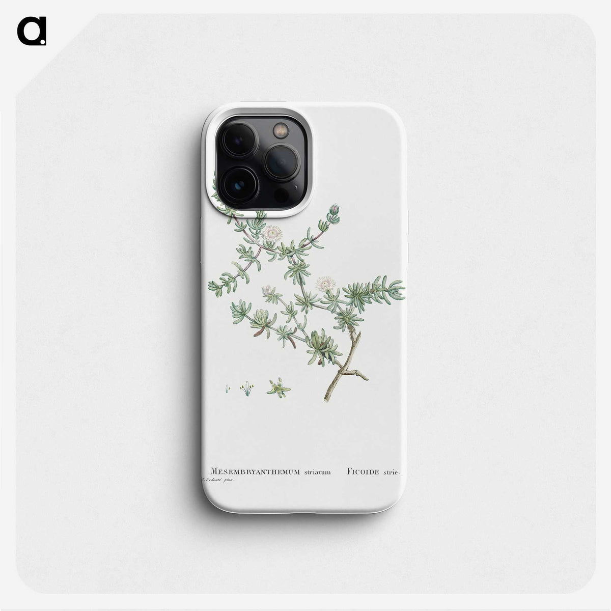 1-29_Histoire-des-Plantes-Grasses_phone