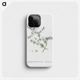 1-29_Histoire-des-Plantes-Grasses_phone