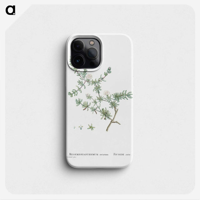 1-29_Histoire-des-Plantes-Grasses_phone