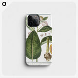 1-29_Hortus-Romanus-Botanical-Plates_phone