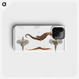 1-29_Ichtyologie-ou-Histoire-naturelle_phone