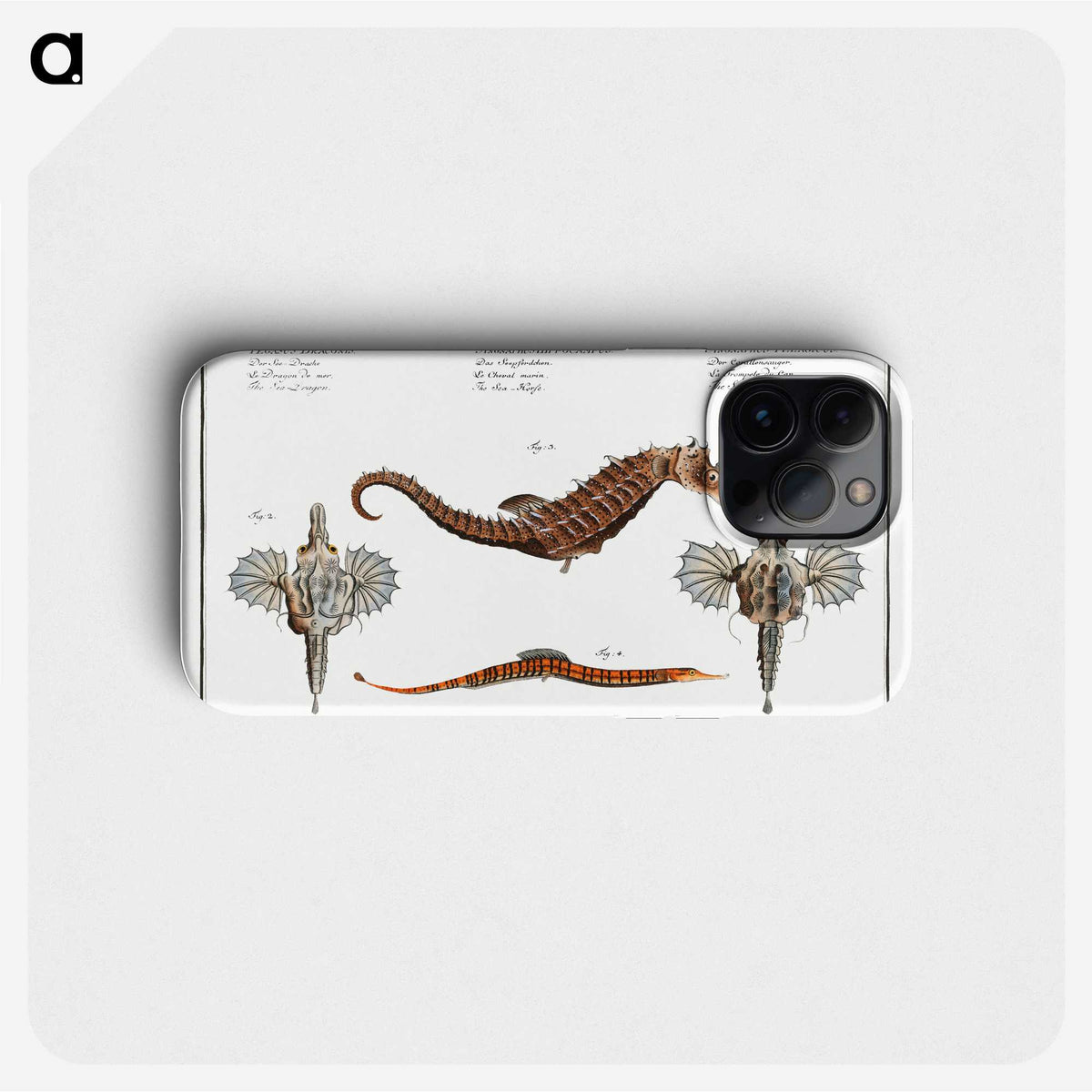 1-29_Ichtyologie-ou-Histoire-naturelle_phone