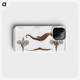 1-29_Ichtyologie-ou-Histoire-naturelle_phone