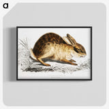 1-29_Indian-Zoology_blk-crop