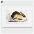 1-29_Indian-Zoology_picture
