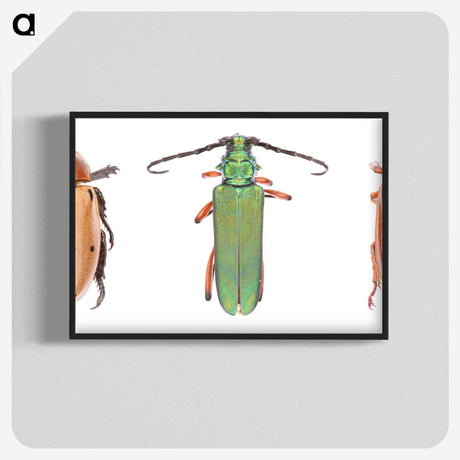 1-29_Insects-Unlocked-Project_blk-crop