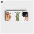 1-29_Insects-Unlocked-Project_phone