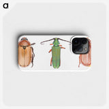 1-29_Insects-Unlocked-Project_phone