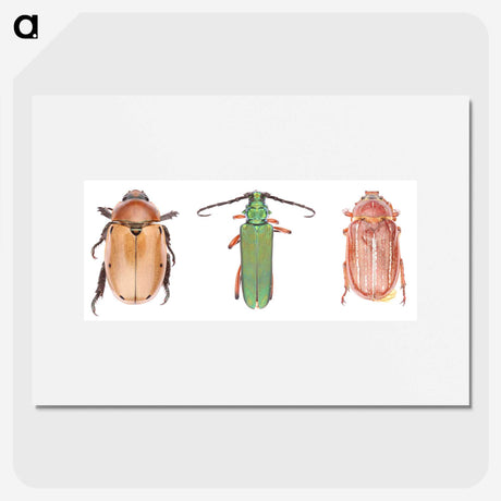 1-29_Insects-Unlocked-Project_picture