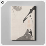 1-29_Ito-Jakuchu_canvas