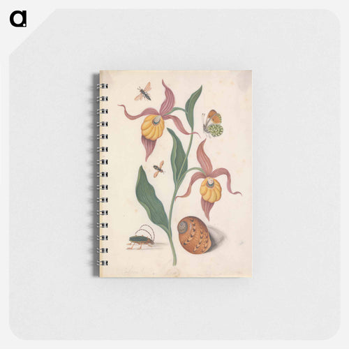 Lady's Slipper and Companions
 - ジェームズ ボルトン Memo.