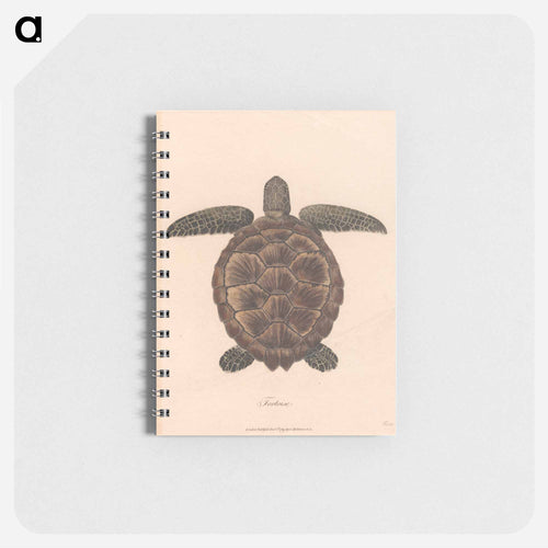 Tortoise
 - ジェームス ヒース Memo.