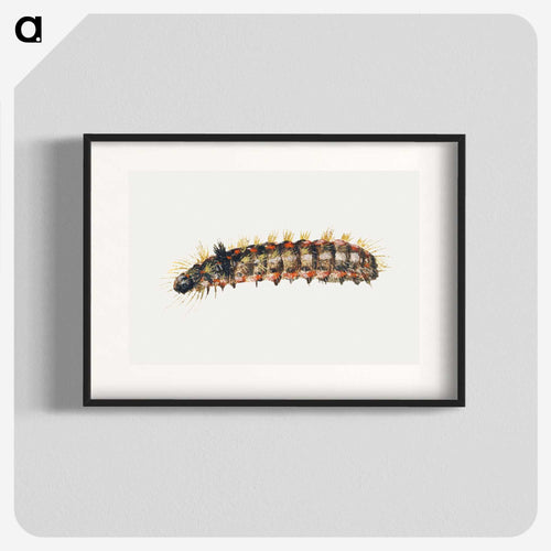 Caterpillar from Sheet of Studies of Nine Insects
 - ヤン ファン ケッセル Poster.
