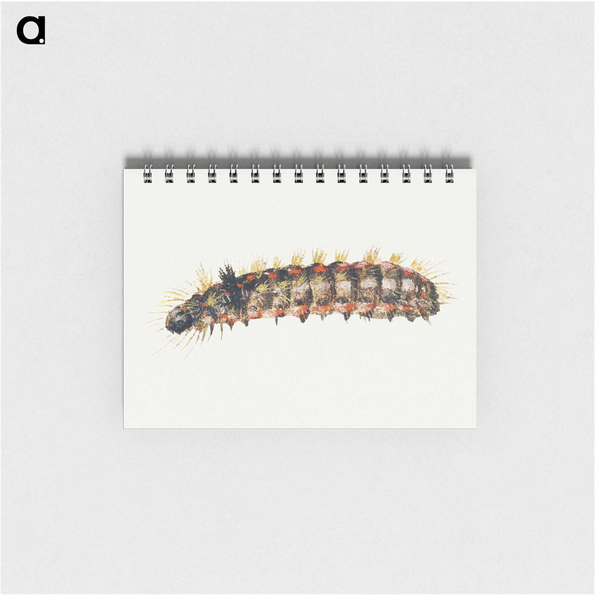 1-29_Jan-Van-Kessel_memo