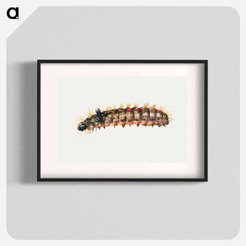 Caterpillar from Sheet of Studies of Nine Insects
 - ヤン ファン ケッセル Poster.