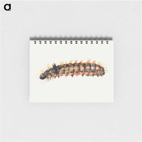 アートメモ帳-Caterpillar from Sheet of Studies of Nine Insects
 - ヤン ファン ケッセル Memo.