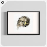 Head of a bird of prey - ジャン ベルナール Poster.