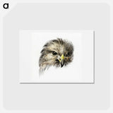 アートポストカード-Head of a bird of prey - ジャン ベルナール Postcard.
