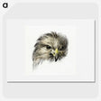 1-29_Jean-Bernard_picture