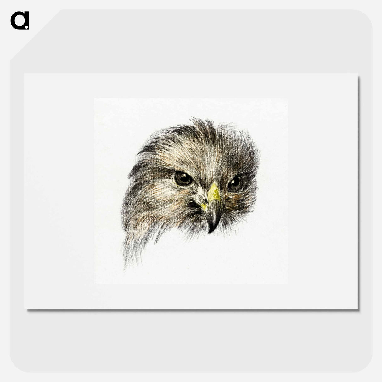 Head of a bird of prey - ジャン ベルナール Poster.
