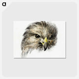 アートポストカード-Head of a bird of prey - ジャン ベルナール Postcard.