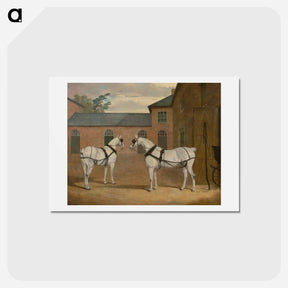 アートポストカード-Grey Carriage Horses at Putteridge Bury
 - ジョン フレデリック ヘリング Postcard.