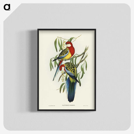 1-29_John-Gould_blk-crop