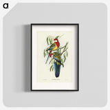 1-29_John-Gould_blk