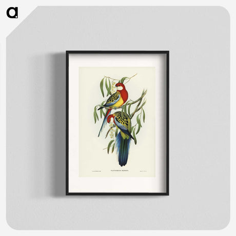 1-29_John-Gould_blk