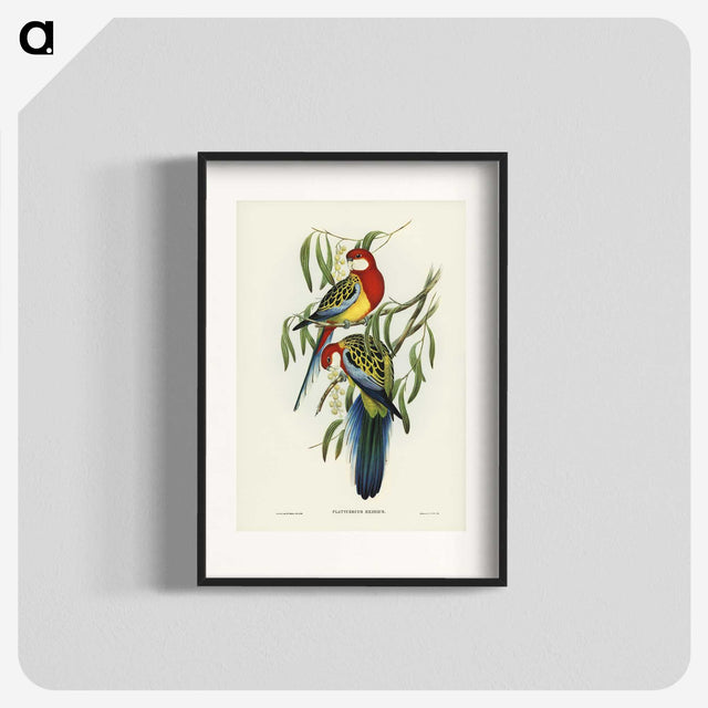 1-29_John-Gould_blk