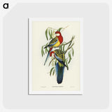 1-29_John-Gould_hagaki