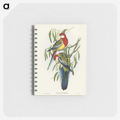 1-29_John-Gould_memo