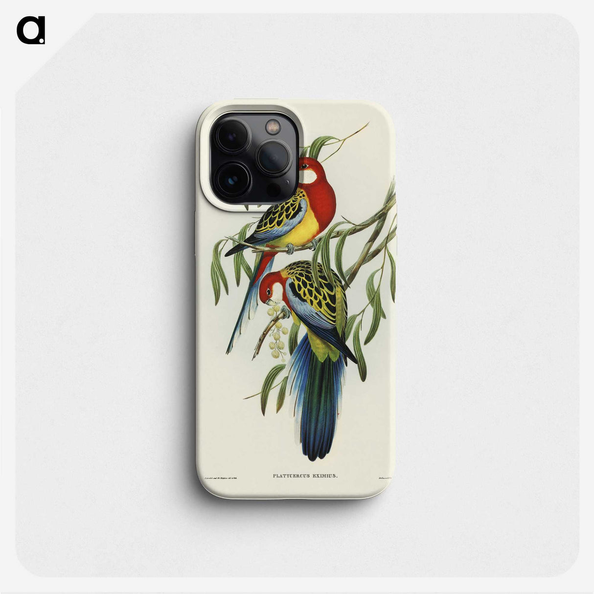 1-29_John-Gould_phone